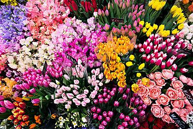 《NBA 2K26》PC配置需求公布 1060即可爽玩！