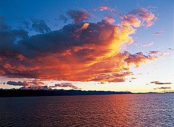 后末日生存城市建设游戏《Floodland》现已登陆 Steam 平台